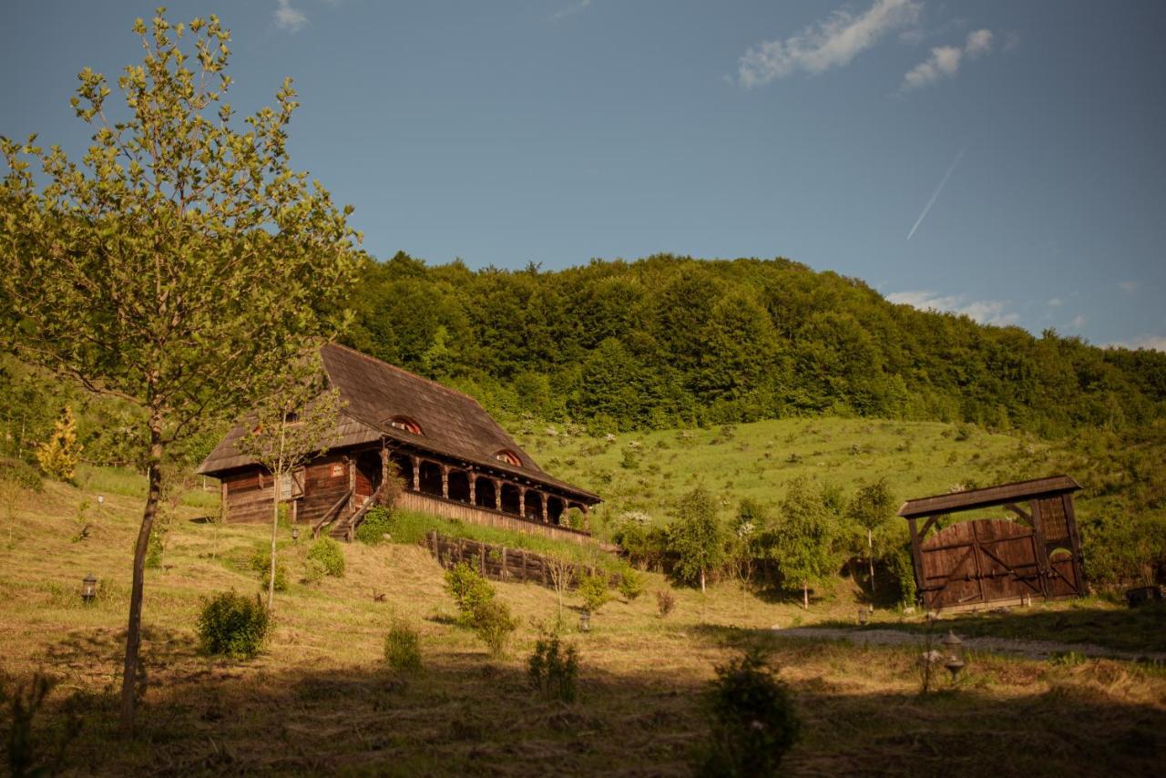 Raven'S Nest - The Hidden Village, Transylvania - Romania Sub Piatra 外观 照片
